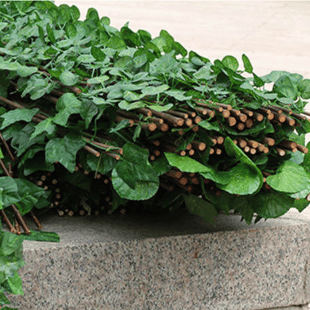 IntimyGreen™ - Clôture Végétale Extensible Premium