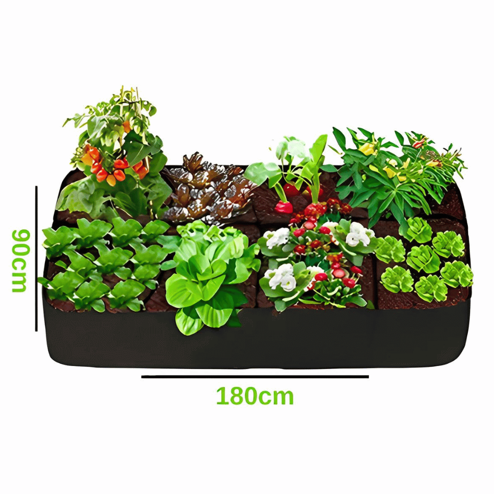 Le Mini Potager Bio - Cultiver ses propres légumes