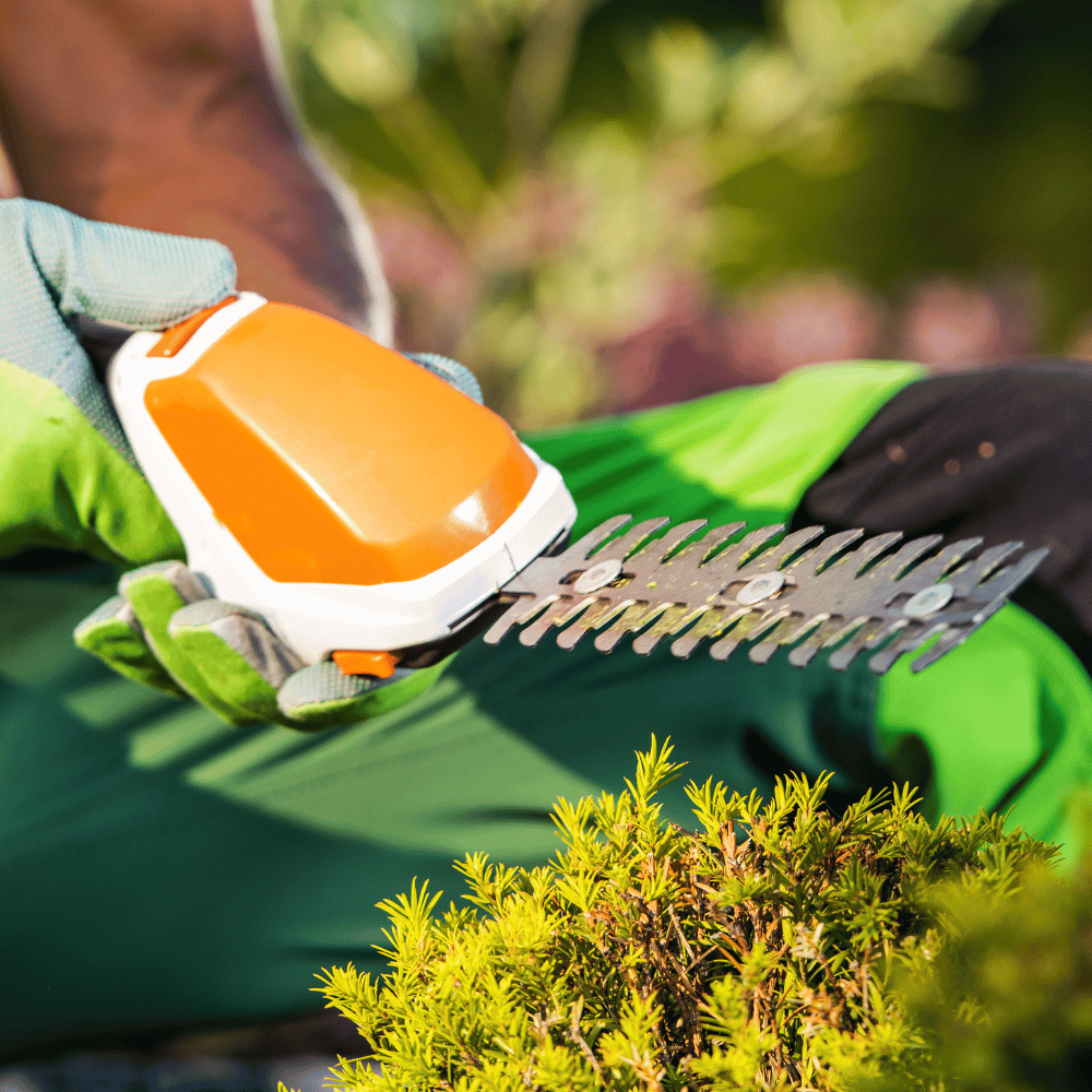 Outils de jardinage – Bertaus