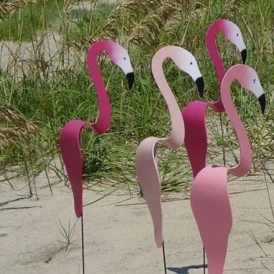 Flamants Dansants - Effet Visuel Sensationnel