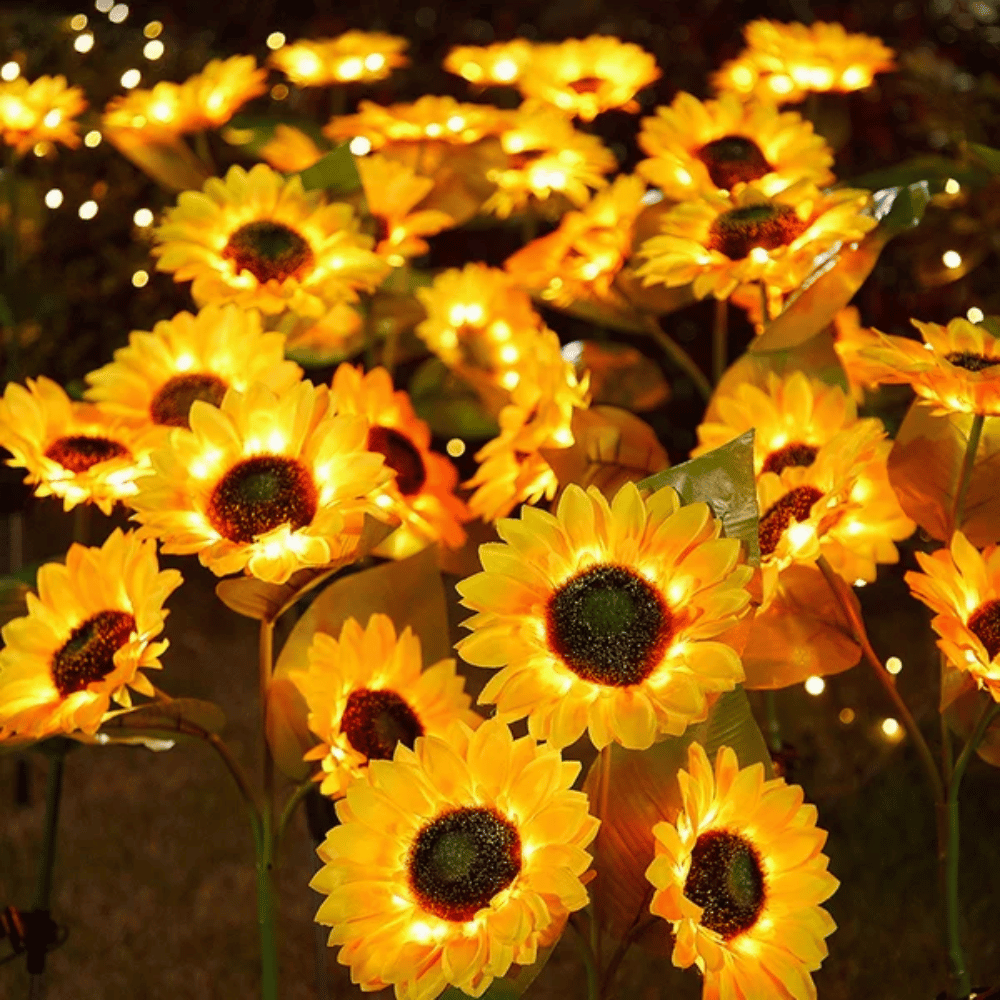 Sunflowy - Tournesol solaire magique