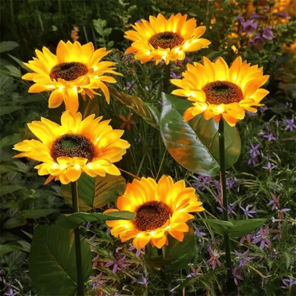 Sunflowy - Tournesol solaire magique