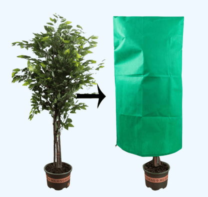 Housse de protection antigel pour plante