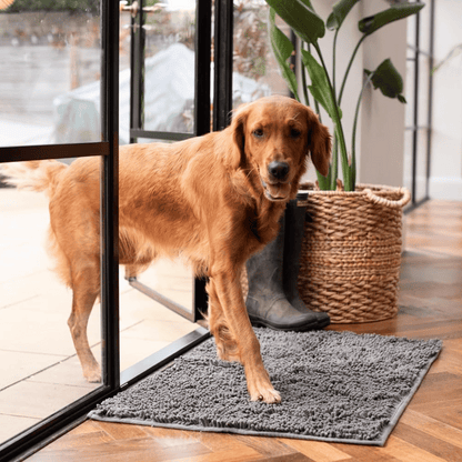 Tapis anti-traces de pattes