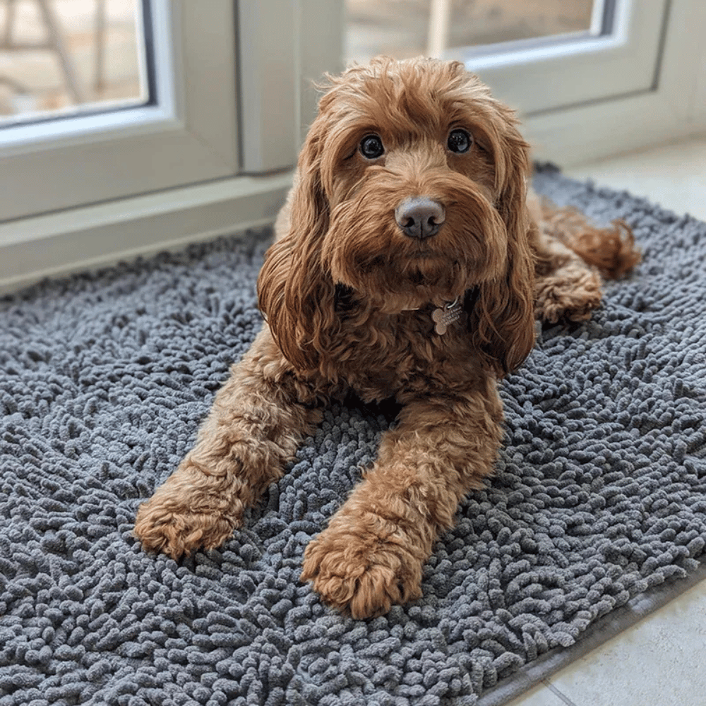 Tapis anti-traces de pattes
