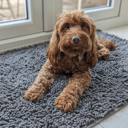 Tapis anti-traces de pattes