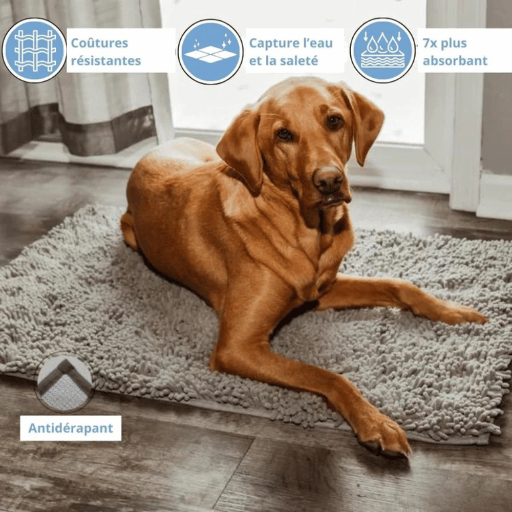 Tapis anti-traces de pattes