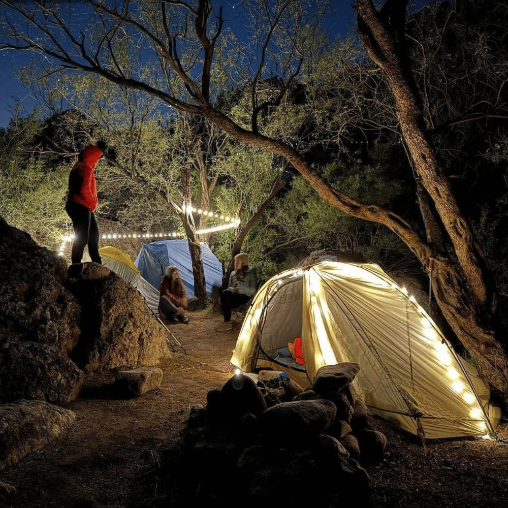 Lampe Extérieure avec Guirlande Intégrée