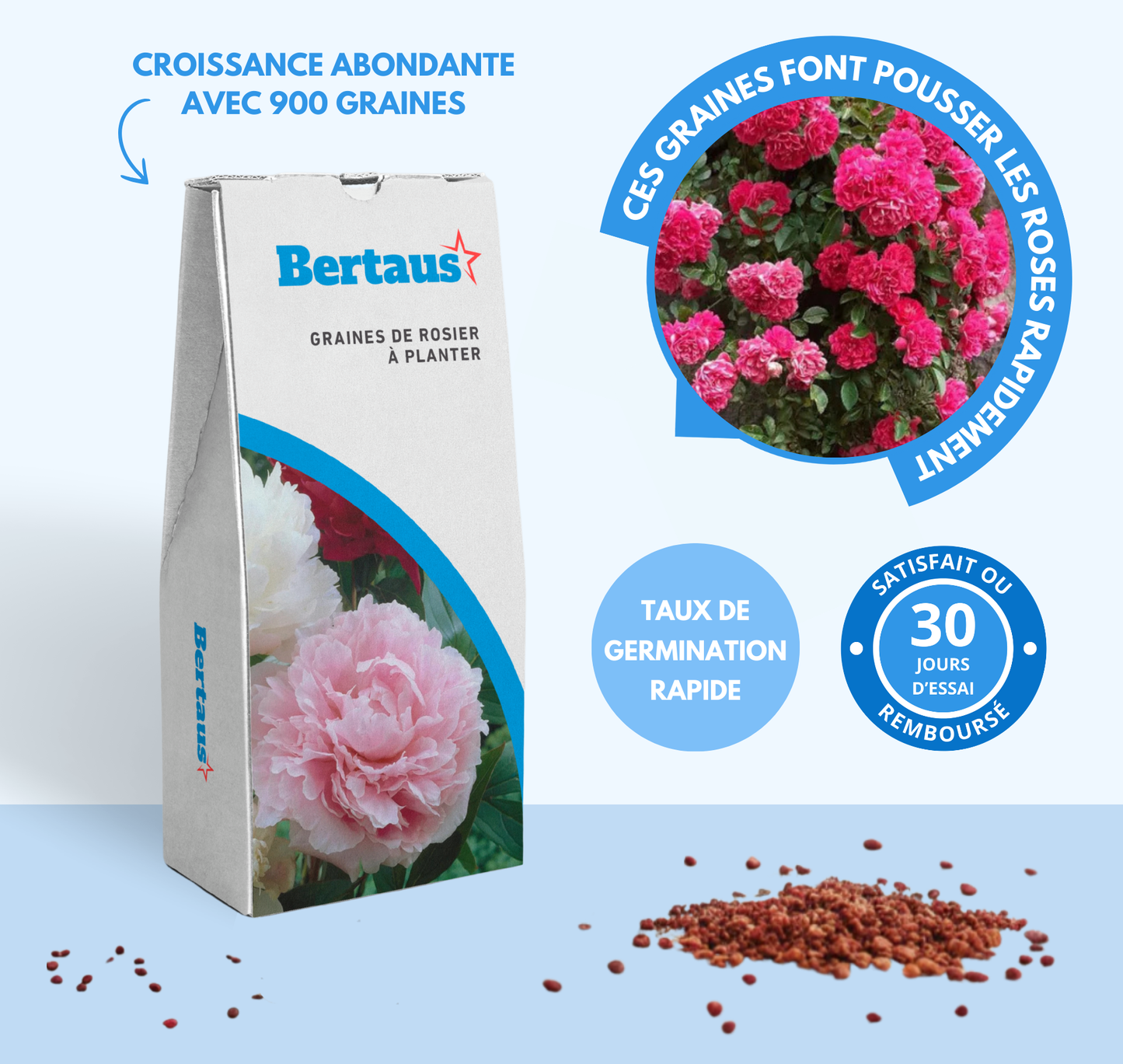 Graines de rosier à planter