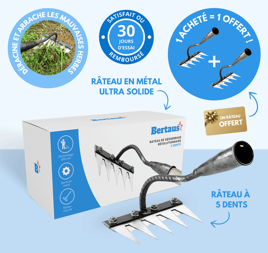Bertaus - Offre de Râteaux de Désherbage Révolutionnaires