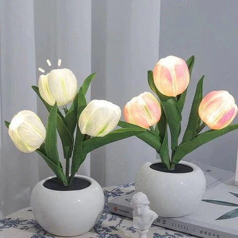 Tulipe Lumineuse - Effet Visuel Merveilleux