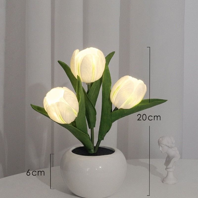 Tulipe Lumineuse - Effet Visuel Merveilleux