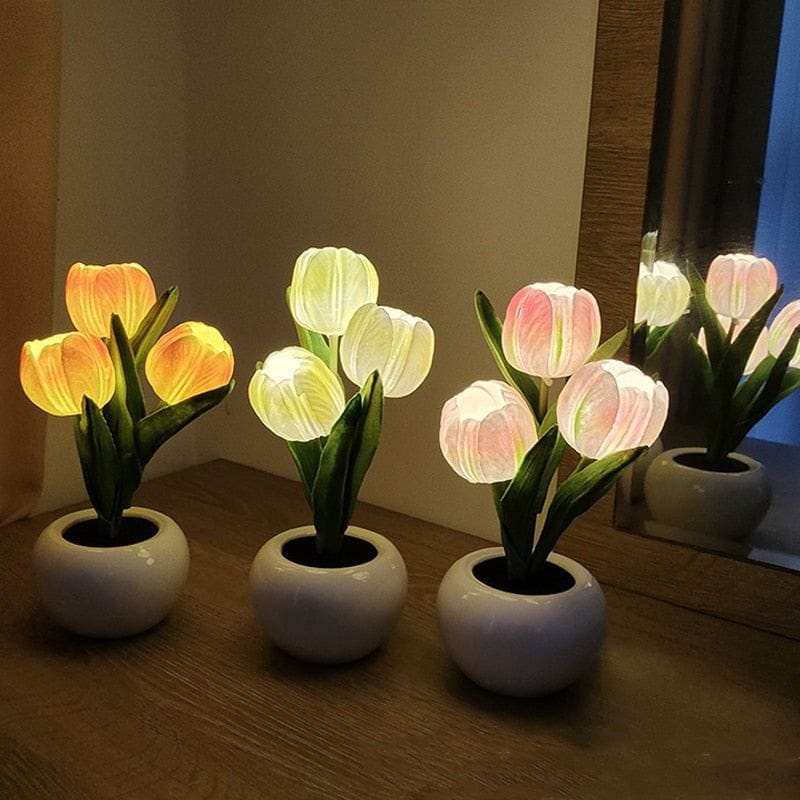 Tulipe Lumineuse - Effet Visuel Merveilleux