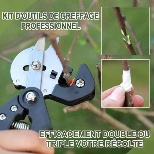 Ciseaux de Greffage